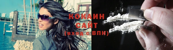 крисы Богородицк