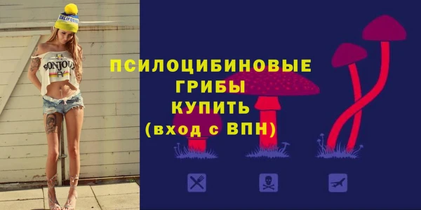 крисы Богородицк