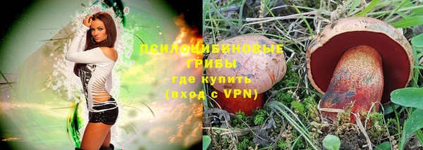 крисы Богородицк