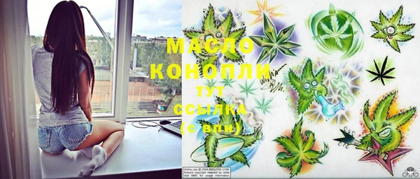 крисы Богородицк