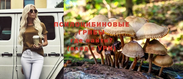a pvp Богородск