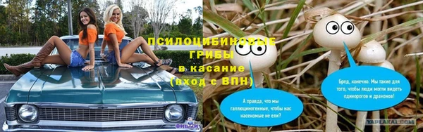 a pvp Богородск
