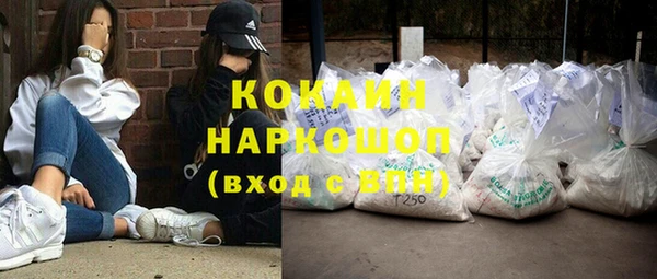 крисы Богородицк
