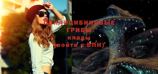 крисы Богородицк