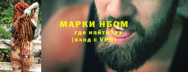 крисы Богородицк
