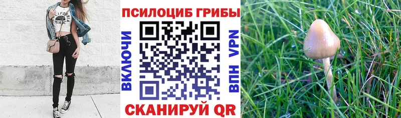 Галлюциногенные грибы MAGIC MUSHROOMS Шахты